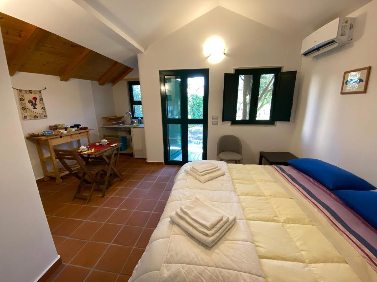 蒙特堡Dependance Castel Del Monte别墅 外观 照片